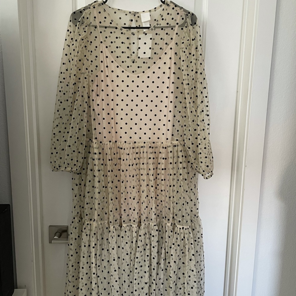 H&M polka dot sheer dress